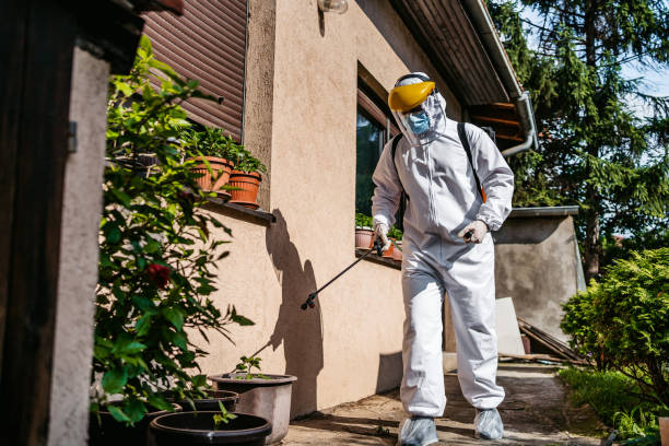Best Mosquito Control Services  in Moapa Valley, NV