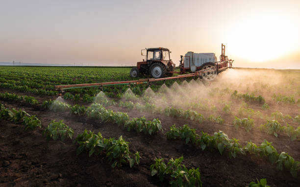 Best Pest Prevention Services  in Moapa Valley, NV