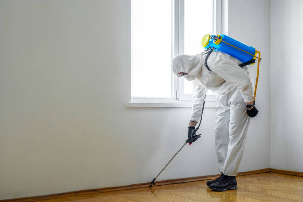Best Wildlife Control Services  in Moapa Valley, NV