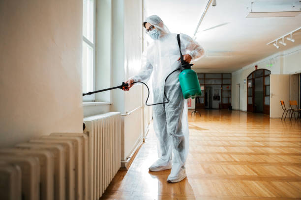 Best Rat Extermination Near Me  in Moapa Valley, NV