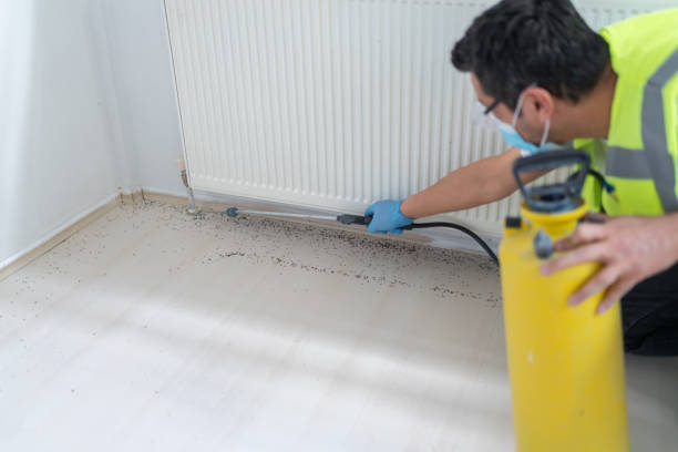 Best Pest Removal Services  in Moapa Valley, NV