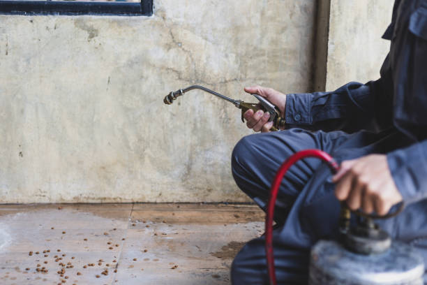 Best Residential Pest Control  in Moapa Valley, NV